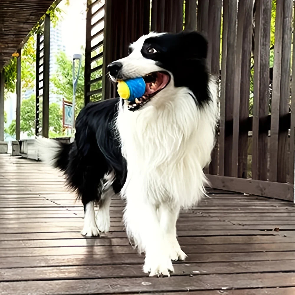 Durable Dog Chew Ball – Interactive Teeth Cleaning Toy